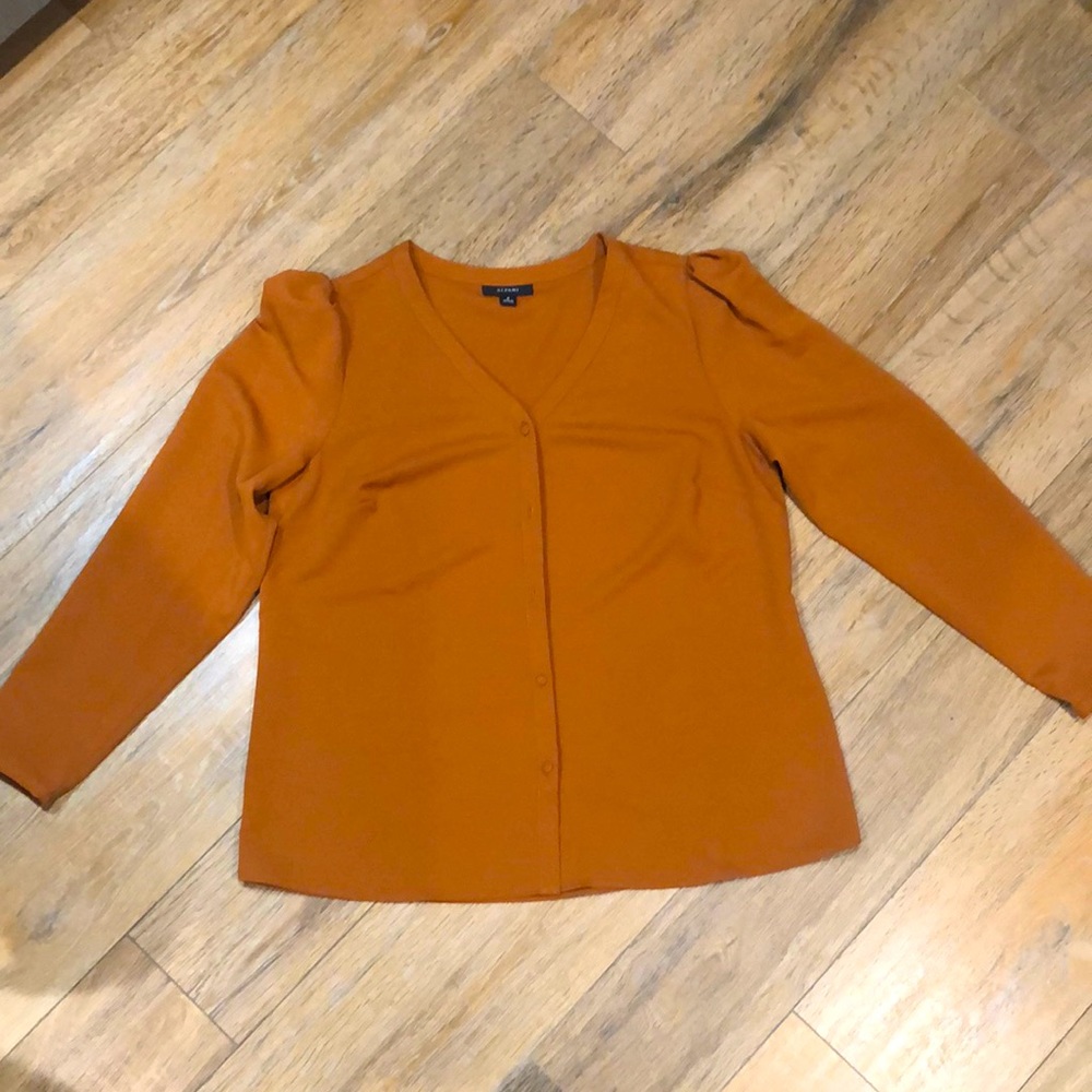 Alfani Top